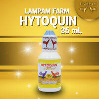 ?บาดเจ็บหลังลุยอย่าปล่อยให้หายเอง? HYTOQUIN ไฮโตควิน 35 ml. เจ็บขาเพราะออกแรงเยอะวิ่งหนักไม่แข็งแรงข้อเส้นเอ็น?อาหารเสริมไก่ชน