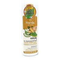 Narda นารดาแชมพู ขิง ว่านหางจระเข้ ใบหมี่ 250 ml 1 ขวด (สีเหลือง)