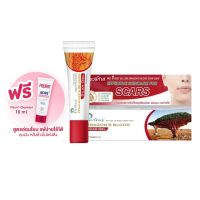 8 กรัม Puricas Dragons Blood Scar Gel เพียวริก้าส์ ดราก้อน บลัด สการ์ เจล ลดรอย แผลเป็น รอยสิว รอยดำ แถมฟรี Peurri Cleanser 10 มล