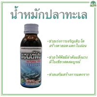 ปุ๋ยน้ำหมักปลาทะเล ปุ๋ยปลา แอนด์ฟิช ขนาด 100 cc Natural Fish Fertiliser 100 cc