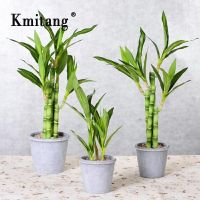 45cm 6fork Artificial Bamboo Tropical large Plant Bonsai Fake Maranta Tree Real Touch Plastic Palm Leaves Potted Home Decoration