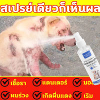 CHW สเปรย์รักษาขี้เรื้อน 500ml ยาขี้เรื้อนหมา ยาแก้เรื้อนหมา ยารักษาขี้เรื้อนหมา ผื่นแดง ​อาการคัน ผิวหนังอักเสบ ตุ่มคัน ขี้เรื้อนเรื้อรัง เชื้อราแมว ยาทาขี้เรื้อน ยาแก้เรื้อนแมว สเปรย์รักษาขี้เรื้อนหมา สเปรย์รักษาขี้เรื้อนหมาแมว