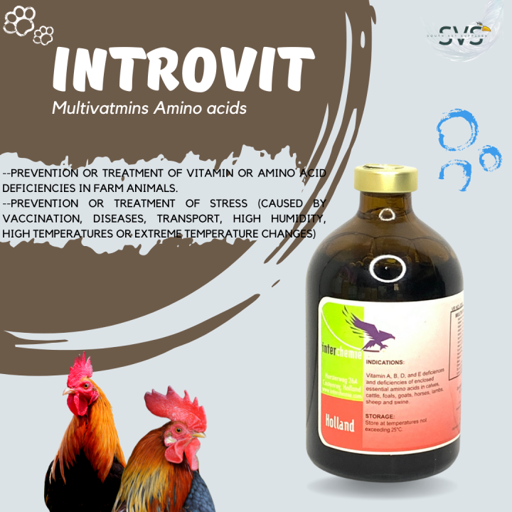 [SOUTH VET] Introvit Multivatmins Amino acids for cattle, goats, sheep
