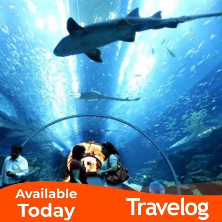 [TRAVELOG PROMO][Family Combo] Underwater World Langkawi Ticket | Lazada