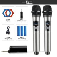 Wireless Microphone 2 Channels UHF Fixed Frequency Professional Handheld Mic For Party Karaoke Church Show Meeting Wireless New