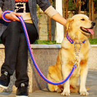 2022 Adjustable Dog Collar Leash Nylon Leash Rope For Medium Dogs Soft Dog Collar Set P Chain For Large Dogs Training Slip