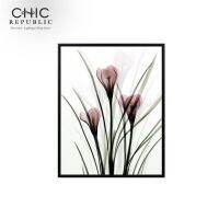 CHIC REPUBLIC SAFFRON/40x50,ภาพติดฝาผนัง - สี หลากสี