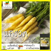 เมล็ดพันธุ์ แครอท สีเหลือง 300 เมล็ด Solar Yellow Carrot seed เมล็ดพันธุ์แท้ นำเข้าจากต่างประเทศ ปลูกผัก สวนครัว ผักสลัด