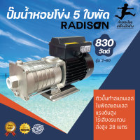 ปั๊มน้ำหอยโข่ง  รุ่น KMP 2-60  5ใบพัด RADISON