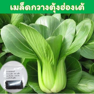 กวางตุ้งฮ่องเต้ เมล็ดพันธุ์ 400+ เมล็ด (Pak Choi )