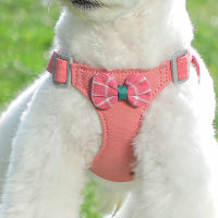 สายจูงสุนัขขนาดเล็ก Xyfulin TINOKI สุนัขเดินได้ชุดเสื้อกั๊กสำหรับจูงตุ๊กตาหมีสายคล้องหน้าอกสัตว์เลี้ยง