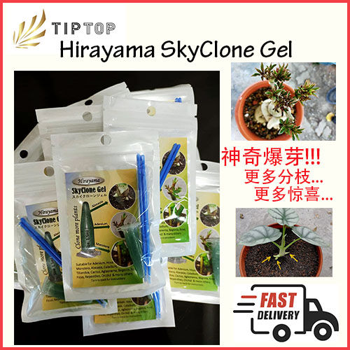 [1.5ML] Hirayama SkyClone Gel / 神奇复催芽剂 - [Adenium/Hoya Monstere ...