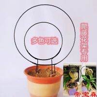 [COD] Indoor love-shaped flower tortoise green radish climbing rattan shelf plant bracket round shape simple home