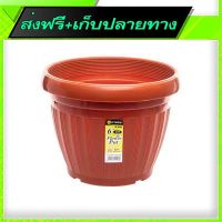 ?ส่งฟรี เก็บCOD Fast and Free Shipping ELIANWARE Plastic Flowerpot (terracotta)