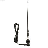 ☾✉✟ 16 Car Roof Antenna Radio Booster Black Signal Amplifier Antenna Flexiable New Antenna Universal