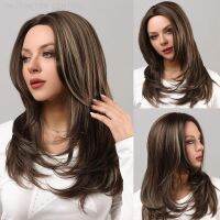 Women Straight Brown Mixed Blonde Wig Layered Wig Golden Highlight Realistic Synthetic Middle Part Suitable For Fashion [ Hot sell ] TOY CENTER