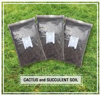 Supersoil สูตรไร้ดิน (Soilless) ดินสำหรับปลูกกระบองเพชรและพืชอวบน้ำ (Cactus and Succulent soil mix)