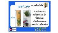 กล่องแพ็คต้นไม้ กล่องใส่ต้นไม้ กล่องแพคต้นไม้ เพื่อการจัดส่งโดยเฉพาะ Size L90 สำหรับกระถางขนาด 8นิ้ว "สูงพิเศษ"