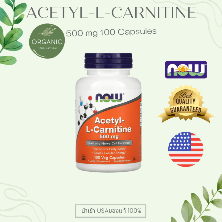 Now Food Acetyl LCarnitine แอลคาร์นิทีน 500mg 50/100/200capsults EXP
