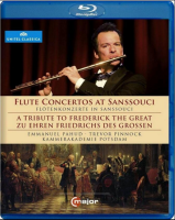 Flute player Pahud carefree palace concert Pinnock conductor 25g