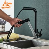 Pull Out Kitchen Sink Faucet 2 Function Spout Taps Rotation Deck Mount Stainless Steel Cold Hot Water Mixer Washing Crane