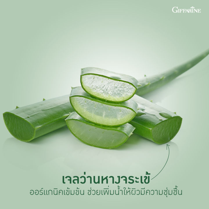 snow-lotus-aloe-body-gel-เจลว่านหางจระเข้-และสารสกัดบัวหิมะ-บำรุงผิวกาย