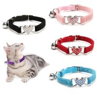 【CW】 Collar With Cats Leash Collars Dog Chihuahua Leashes Lead Supplies