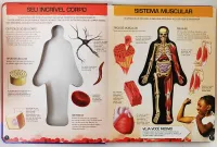 ภาษาโปรตุเกสPara Fora-Corpo Humanoศึกษาปกแข็งร่างกายมนุษย์