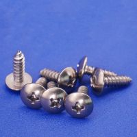 20PCS M4 Titanium Screws TA2 Phillips Truss Head (cross Recessed Mushroom Head) Self Tapping Screws TA Nails Screws  Fasteners