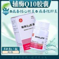 SINE Coenzyme Q10 Capsules 10mgx60 Capsulesx1 Bottle/Box Viral Myocarditis Chronic Insufficiency Hepatitis Medicine