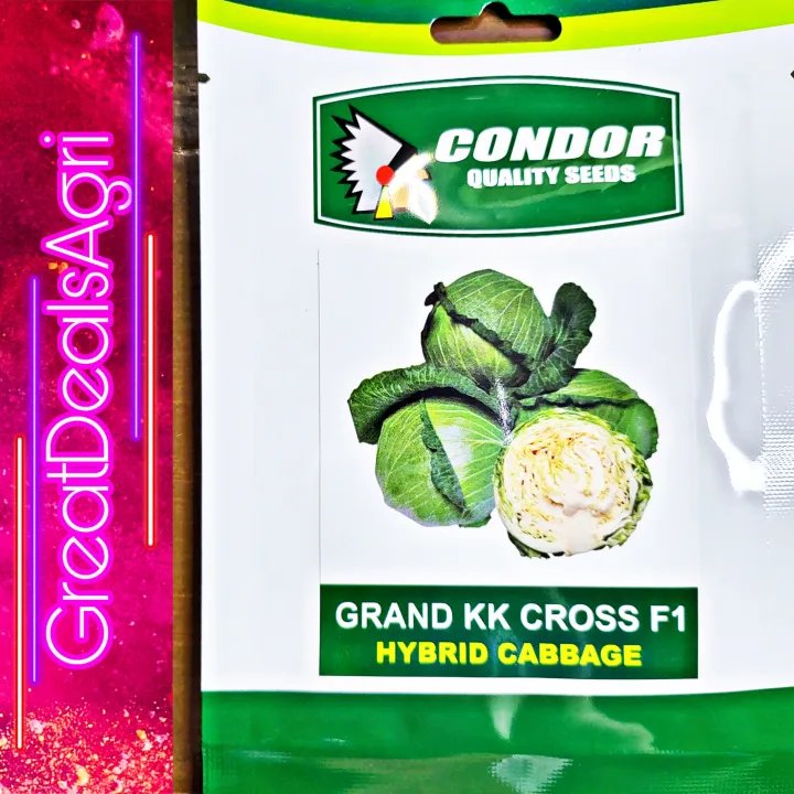 GRAND KK CROSS F1 HYBRID CABBAGE SEEDS (1 GRAM) CONDOR SEEDS Lazada PH