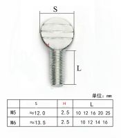 M5 M6 * 10/12/16/20/25/30มมสกรูสแตนเลสหัวแม่มือ304สกรูแร็กเกต