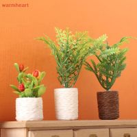 ✔✷™ (warmheart) โมเดลกระถางต้นไม้ ใบเมเปิ้ลจิ๋ว สีเขียว สําหรับตกแต่งบ้านตุ๊กตา 1:12