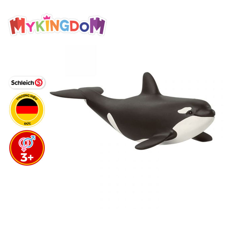 Mua Mô Hình Cá Voi Xanh Schleich  14696  Tiki