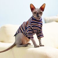 New Sphinx Devon Hairless Cat Clothes For Kitten Knitted Striped High Collar Cat Clothing Spring Autumn Kitty Costume For Pet Clothing Shoes Accessori