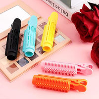 12 Clip Long With Rollers Girls Case Tool Women Curler Naturally For Hair Root Hair Volumizing