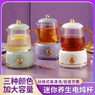 Multifunctional Intelligent Household Mini Electric Stew Pot Smart Glass  Kettle Health Pot Kettle Electric Kettles Health Pot - China Tea Kettle and Kettle  Water price