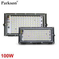 ไฟฟลัดไลท์แอลอีดีกันน้ำได้ตัวสะท้อนแสง LED 100W 50W 220V 240V LED ฟลัดไลท์ไฟสำหรับภูมิทัศน์กลางแจ้ง IP65