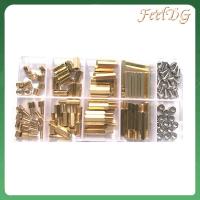 FEELDG 120Pcs M3 ฐานรองทองเหลืองหกเหลี่ยม ทองสีทอง ชายหญิง น็อตสกรูเกลียว สเปเซอร์เพิ่มระยะ แผงวงจรหลัก PCB ชุดน็อตและสลักเกลียว โครงการอิเล็กทรอนิกส์ DIY