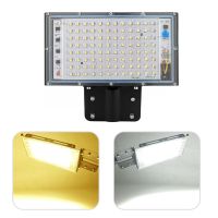 100W LED Street Light AC 220V-240V Outdoor Floodlight Spotlight IP65 Waterproof Wall Light Garden Road Street