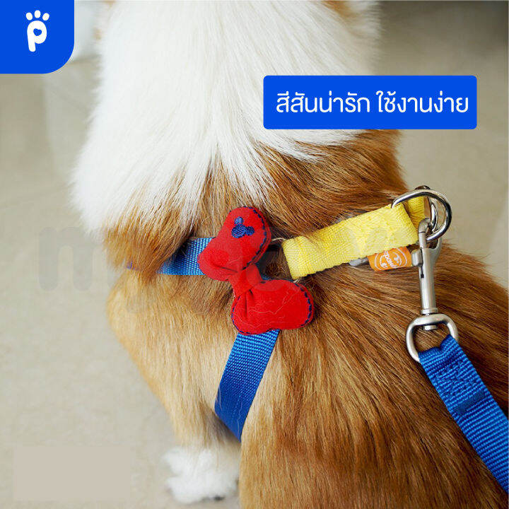 my-paws-สายรัดอกสัตว์เลี้ยง-ธีมเจ้าหญิง