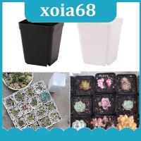 xoia68 Shop 10pcs Planter Pot Trays Mini Square Plastic Flower Pot Home Office Succulent Plants Nursery Pot Green Garden Tools