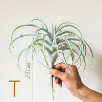 Simulation Tillandsia High-End Exquisite Plant Air Tilan Capita T.Capitata