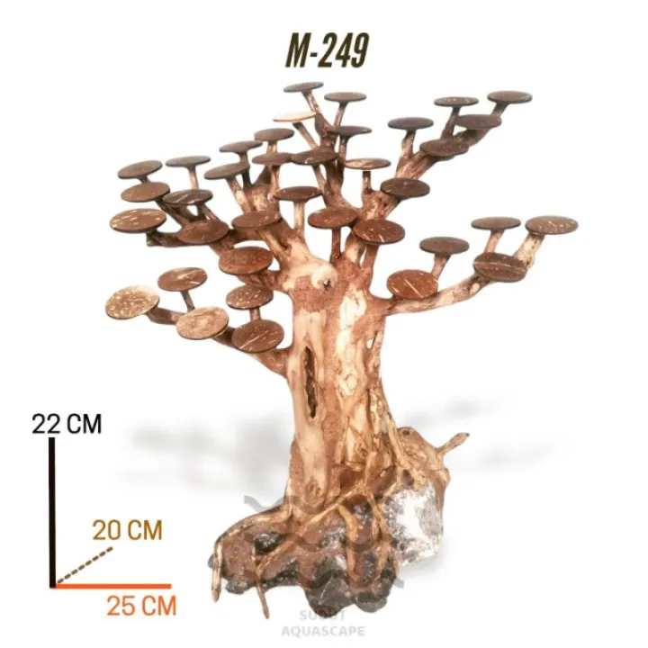 Bonsai Kayu Santigi Pasir Hiasan Aquarium Aquascape [SESUAI GAMBAR] M