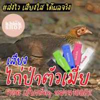 เสียงต่อไก่ป่าตัวเมีย ตอด เสียงชัดๆ หมาน1000% เมมเสียงไก่ป่าตัวเมีย ตอด เสียงชัดๆ หมาน1000% แฟลชไดรฟ์เสียงต่อไก่ป่าตัวเมีย ตอด เสียงชัดๆ