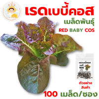 *ส่งด่วน* เมล็ดพันธุ์ เรด เบบี้คอส (Red Baby Cos) เรด มินิคอส แดง Seed ปลูกผัก สลัด เมล็ดผัก เมล็ดพืช [1 ซอง 100 เมล็ด]