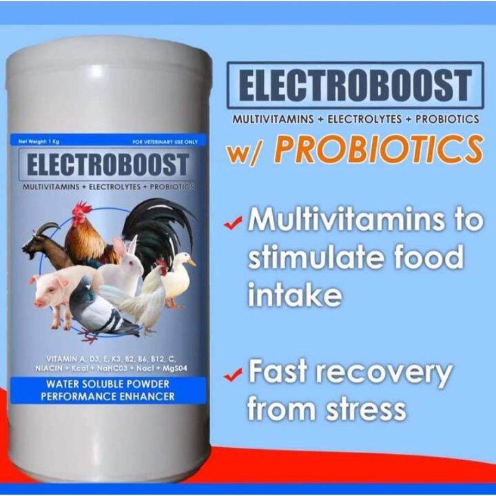 ♔ELECTROBOOST+MULTIVITAMINS+ELECTROLYTES+PROBIOTICS♢ Lazada PH