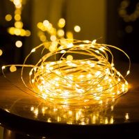 5M 10M 20M LED String 50 / 100 / 200 Lights USB Plug-in Fairy Lights with Remote/ Powered Copper Wire Indoor Fairy Lights / Waterproof Indoor Led String Lights / Decorative Night Light For Christmas New Year Party Wedding Birthday Kids Room