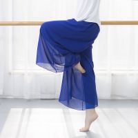 ❈❏☽ Elegant Chiffon Modern Dance Practice Clothing Pants Classical Dance Clothing Female Dance Performance Clothing National Dance Clothing Dance Wide-Leg Pants