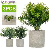 กระถางต้นไม้ขนาดเล็ก3ชิ้นยูคาลิปตัสเทียม Gypsophila Oldenlandia Diffusa เขียวขจีในกระถาง8.3 "-9" พืชสูงเทียมพืชเทียมพืชต้นไม้ปลอม